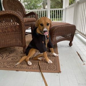 Doggie Rain Jacket